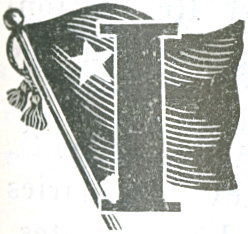 Illustrated letter I with flag
